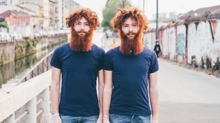 Junge Männer (Zwillinge) mit roten Haaren und Bart stehen gleichgekleidet auf einer Brücke: Die Zwillingsforschung kann mit immer raffinierteren Methoden die Wechselwirkung von Umwelt und Genen studieren.