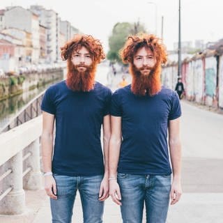 Junge Männer (Zwillinge) mit roten Haaren und Bart stehen gleichgekleidet auf einer Brücke: Die Zwillingsforschung kann mit immer raffinierteren Methoden die Wechselwirkung von Umwelt und Genen studieren.