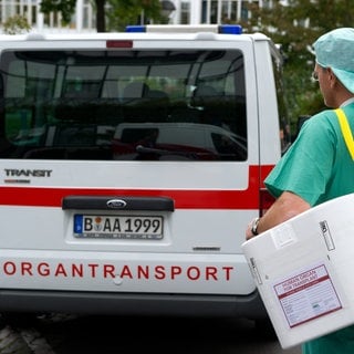 Ein Styropor-Behälter zum Transport von zur Transplantation vorgesehenen Organen wird zu einem Fahrzeug für den Organtransport gebracht.