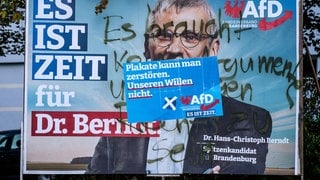 Zerstörtes AfD-Plakat in Potsdam: Die in Teilen rechtsextreme AfD ist in einigen Regionen stärkste Partei. Muss die Demokratie das aushalten oder sollte die AfD verboten werden?