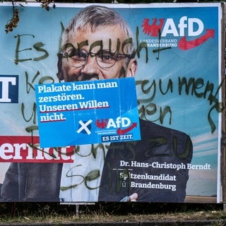 Zerstörtes AfD-Plakat in Potsdam: Die in Teilen rechtsextreme AfD ist in einigen Regionen stärkste Partei. Muss die Demokratie das aushalten oder sollte die AfD verboten werden?