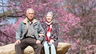 Älteres Paar sitzt in Japan vor einem blühenden Kirschbaum: In Japan leben fast neun Millionen Rentner allein. Zehntausende sterben jedes Jahr einsam. Jetzt werden Gegenrezepte erprobt: Städte ermutigen Senioren, ihr Lebensende frühzeitig vorzubereiten. Manche Rentner suchen aktiv nach einem Heiratspartner oder nach "Grabfreunden" für einen gemeinsamen Liegeplatz auf dem Friedhof.