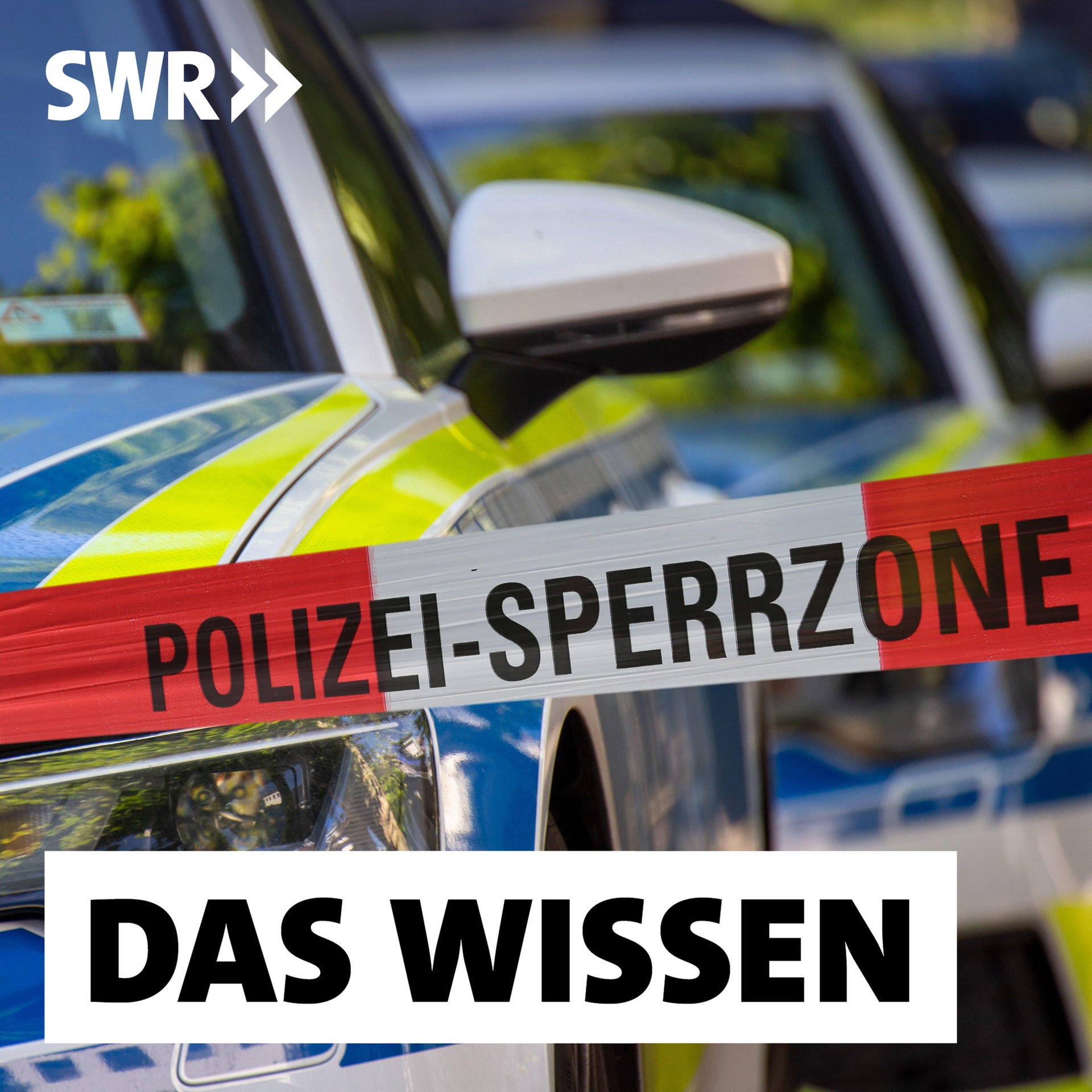 Tödliche Polizeieinsätze bei psychischen Ausnahmesituationen