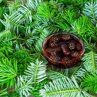 Marmelade aus jungen Tannenzapfen in einem Glas auf dem Hintergrund junger grüner Tannenzweige 