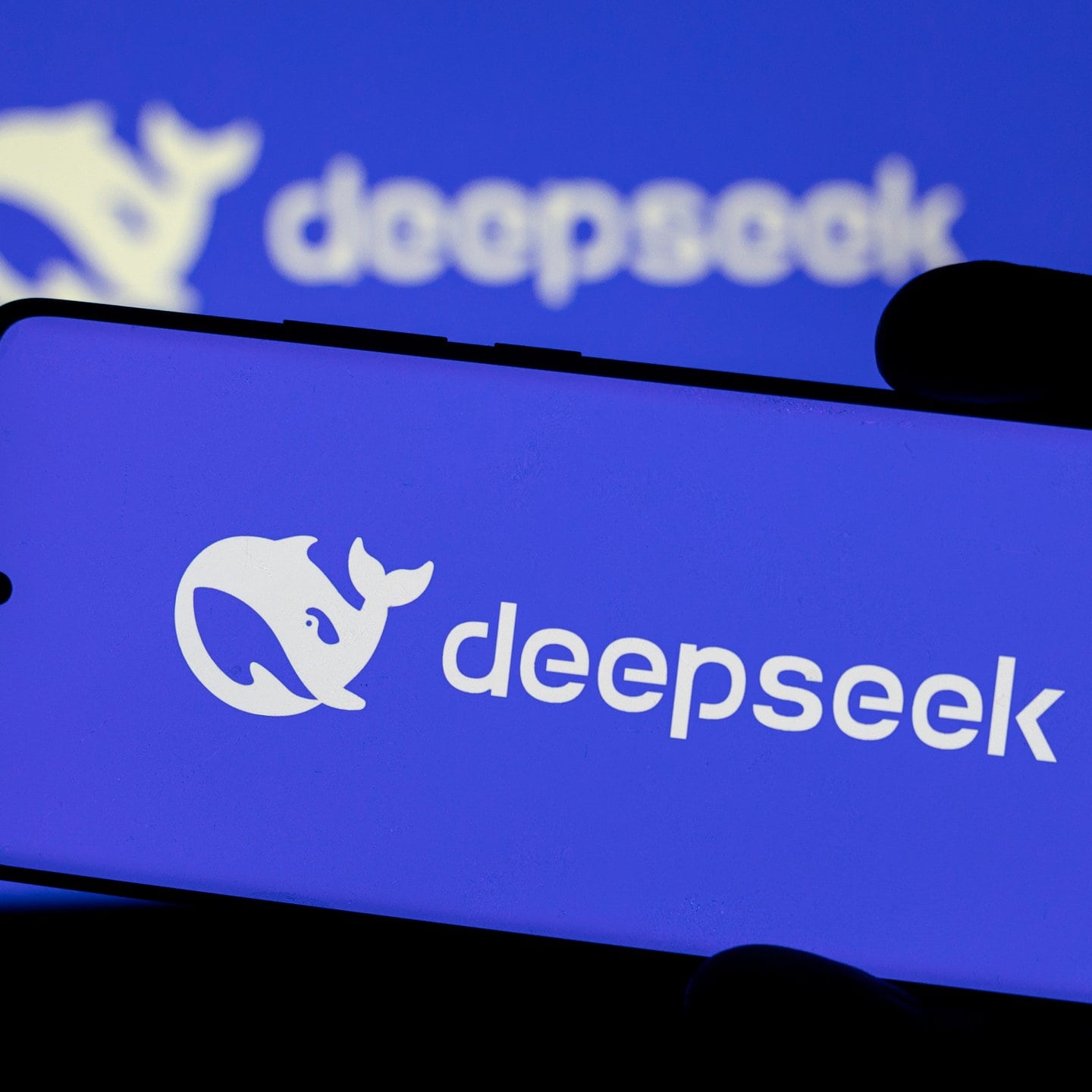 DeepSeek: Was kann das KI-Sprachmodell aus China besser als ...