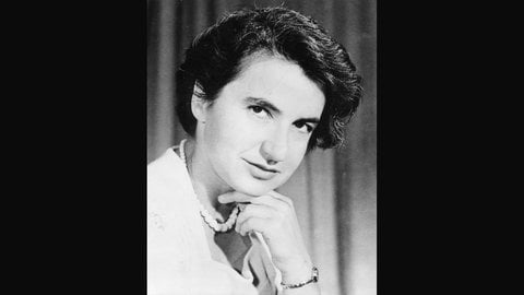 Rosalind Franklin (1920-1958), britische Chemikerin. Fotograf unbekannt