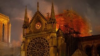 Am 15. April 2019 bricht ein Feuer in der berühmten Pariser Kathedrale Notre-Dame aus und richtet großen Schaden an