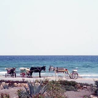 Eselkarren am Strand von Cala Millor  Mallorca (1962)