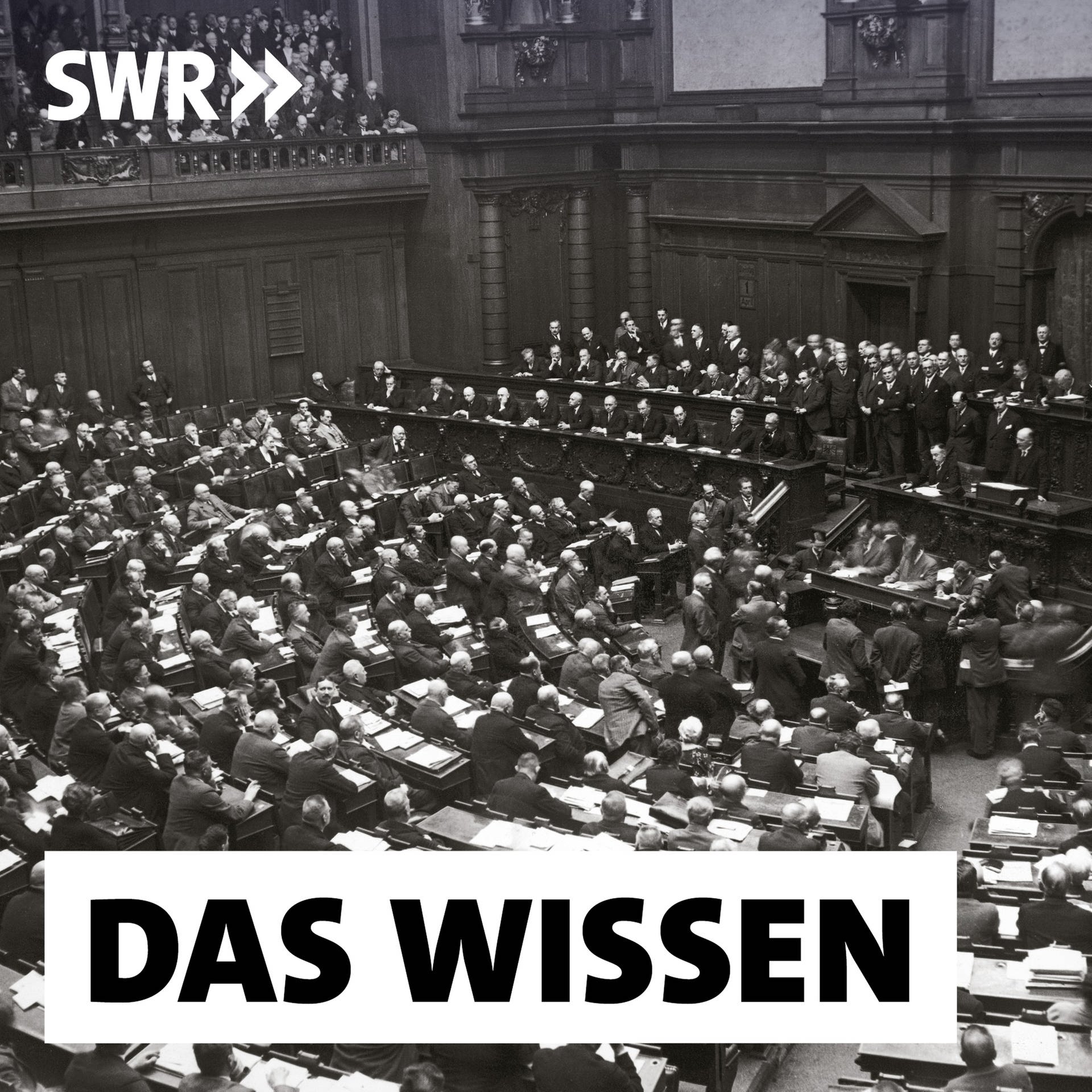 Der Reichstag vor Hitler – Die Weimarer Parlamentsdebatten bis zum Ende der Demokratie