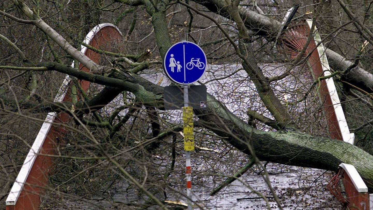 Durch umgestürzte Bäume ist diese Brücke in Karlsruhe am 26.12.1999 völlig unpassierbar geworden. Mehr als 100 Menschen starben in Frankreich, Deutschland und der Schweiz durch das Orkantief Lothar;  die meisten durch umfallende Bäume.