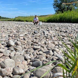 Ingo Kramer untersucht die Steine im ausgetrockneten Flussbett der Dreisam