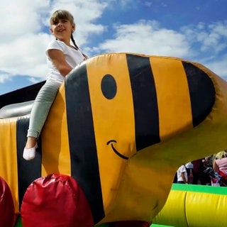 Tigerenten Rodeo beim SWR Sommerfestival 