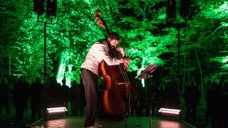 (En)chanting Wood: Kontrabassist Florentin Ginot in der Dunkelheit des Schlossparks mit Werken von Carola Bauckholt und Lucia Kilger über Natur im Post-Anthropozän