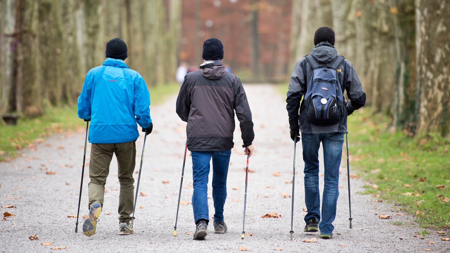 Drei Männer gehen mit Wanderstöcken in den Händen einen Weg entlang