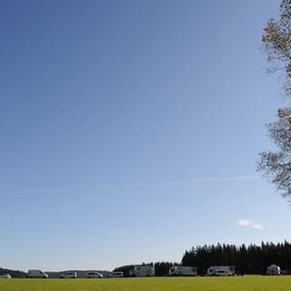 Viele SWR-Autos am Waldrand vor blauem Himmel und grüner Wiese