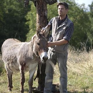 Andreas steht bei einem verletzten Esel, der an einem Baum festgebunden ist