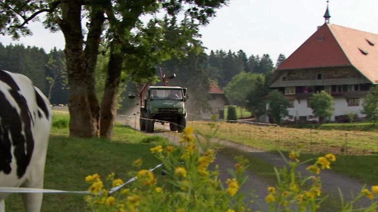 Karl fährt mit seinem Unimog die Allee entlang, links sieht man Kühe, rechts den Fallerhof