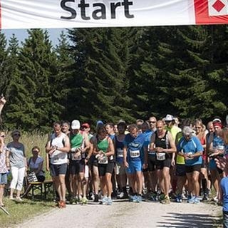 Alle Teilnehmer des Marathon beim Start