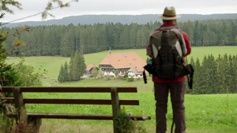 Karl blickt vom Waldrand aus auf seinen Hof