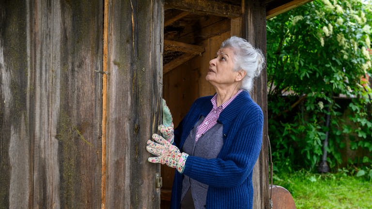 Johanna werkelt an ihrem maroden Hühnerstall