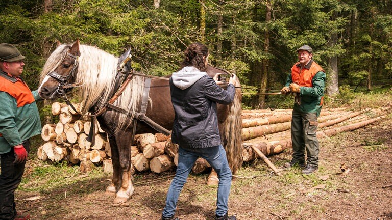 Albert filmt die Arbeit von Bernd, Daniel und Findus mit dem Handy