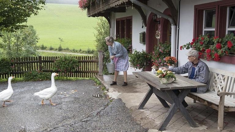 Johanna füttert Gänse, Karl sitzt am Tisch bei Kaffee und Kuchen