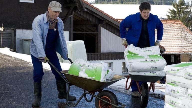 Karl und Michael Steiner schieben mit Säcken beladene Schubkarren