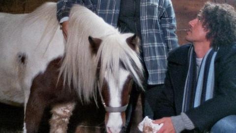 Jenny und Matthias stehen im Stall bei einem Pony