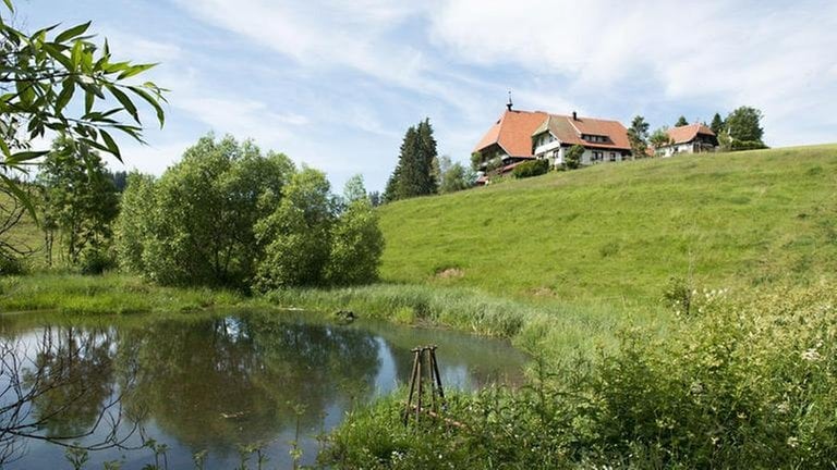 Der Fallerhof im Hintergrund, im Vordergrund der Weiher