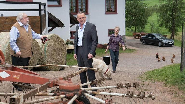 Hermann, Bernhard und Johanna hinter dem Fallerhof