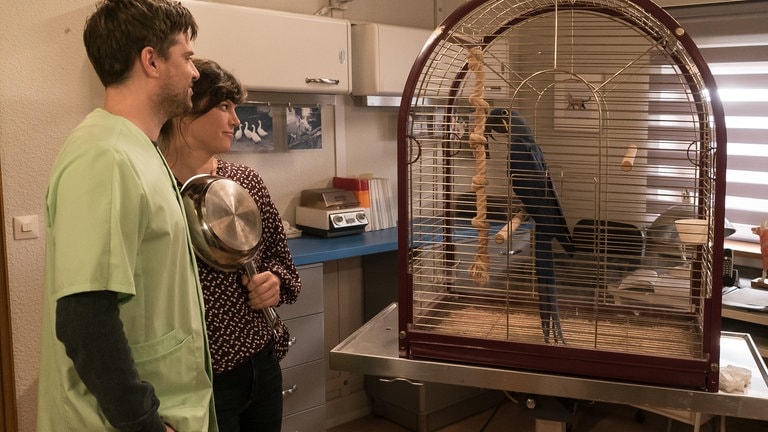 Andreas und Eva stehen vor einem Vogelkäfig, in dem ein blauer Papagei sitzt. 