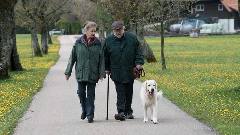 Johanna und Hermann laufen die Allee entlang