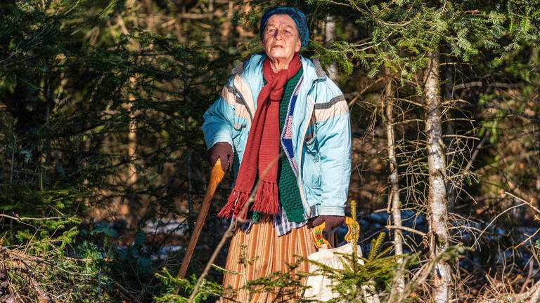 Lioba streift durch den Wald