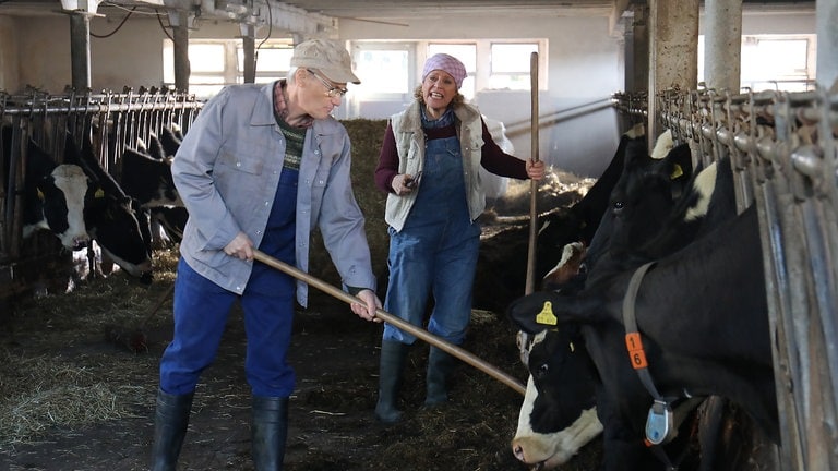 Karl und Bea arbeiten im Stall