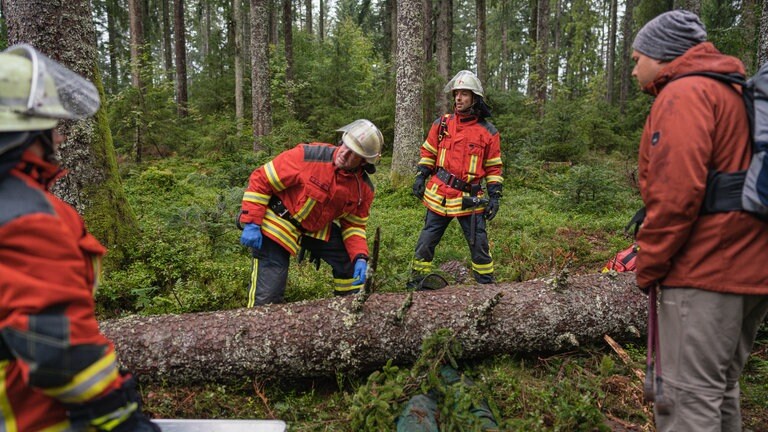 Feuerwehreinsatz im Wald