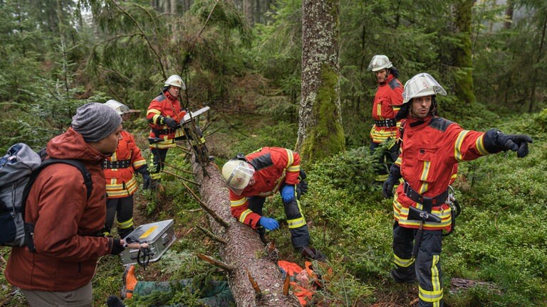 Feuerwehreinsatz im Wald