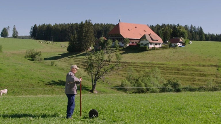 Karl repariert einen Zaun, im Hintergrund sieht man den Fallerhof