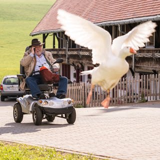 Hermann in seinem Scooter, vor ihm fliegt eine Ganz in die Höhe