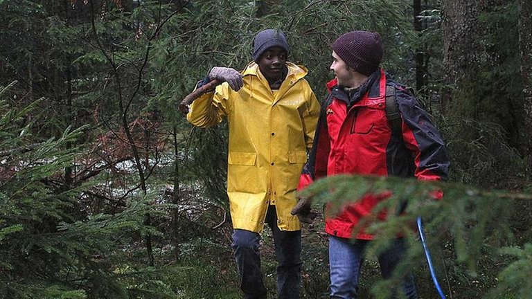 Tayo und Sebastian holen eine Tanne aus dem Wald