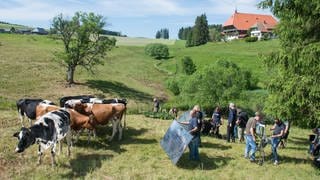 Team beim Dreh auf der Wiese unterhalb des Fallerhofs