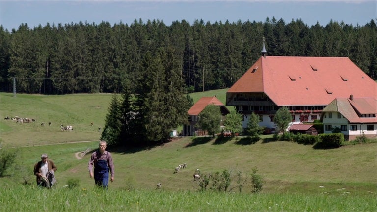 Karl stapft die Wiese hoch, Heinz hinter ihm her. Im Hintergrund der Fallerhof