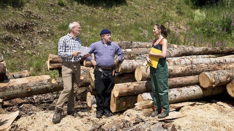 Karl, Toni und Sophie bei den Holzstämmen hinter dem Sägewerk