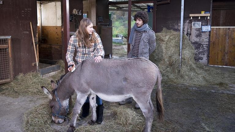 Celine striegelt Esel Doudou, Albert steht daneben