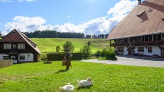 Lioba auf dem Weg zur Kapelle