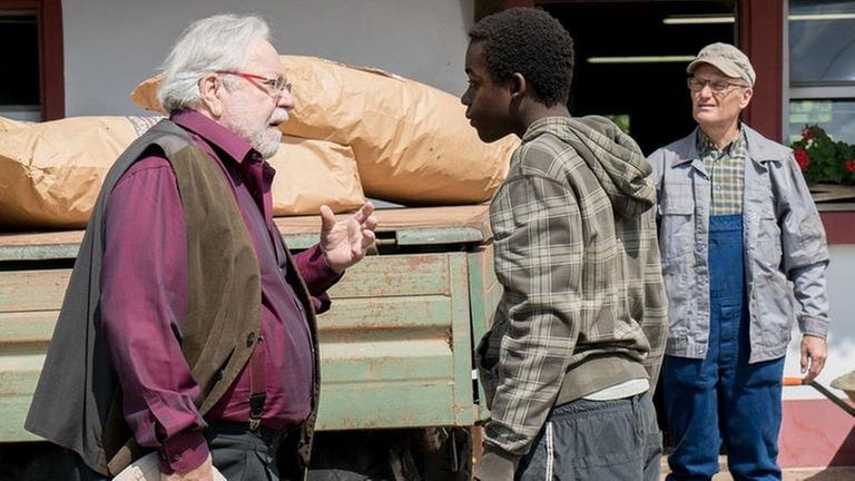 Hermann, Tayo und Karl stehen hinter dem LKW, der Futtersäcke geladen hat