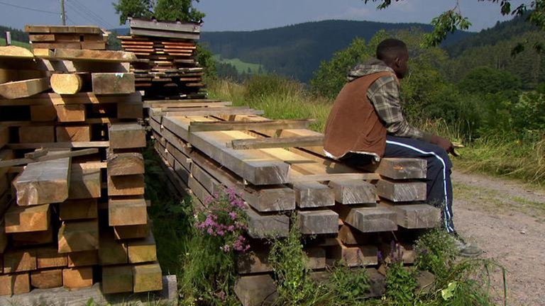 Tayo sitzt auf einem Stapel Holzdielen und guckt vor sich hin