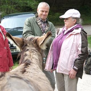 Johanna, Leni, Bea und Karl versuchen Esel Doudou zu bewegen