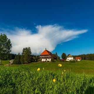 Der Fallerhof im Sommer