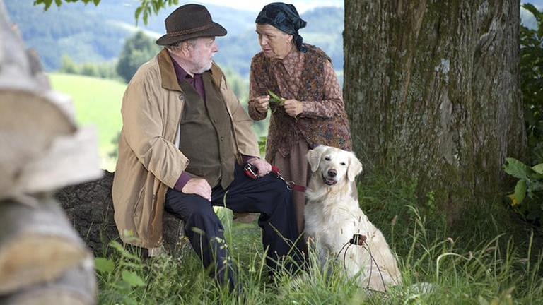 Hermann, Lioba und Johanna unter einem Baum auf einer Wiese