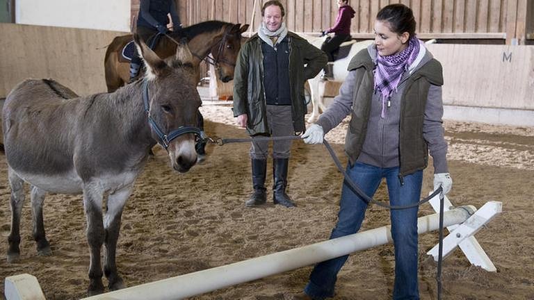 Doudou in der Reithalle mit Bernd und Jenny